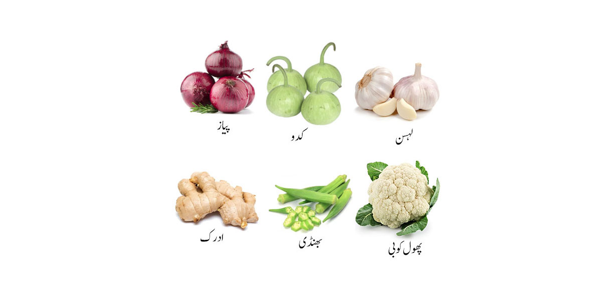 Vegetables Vocabulary