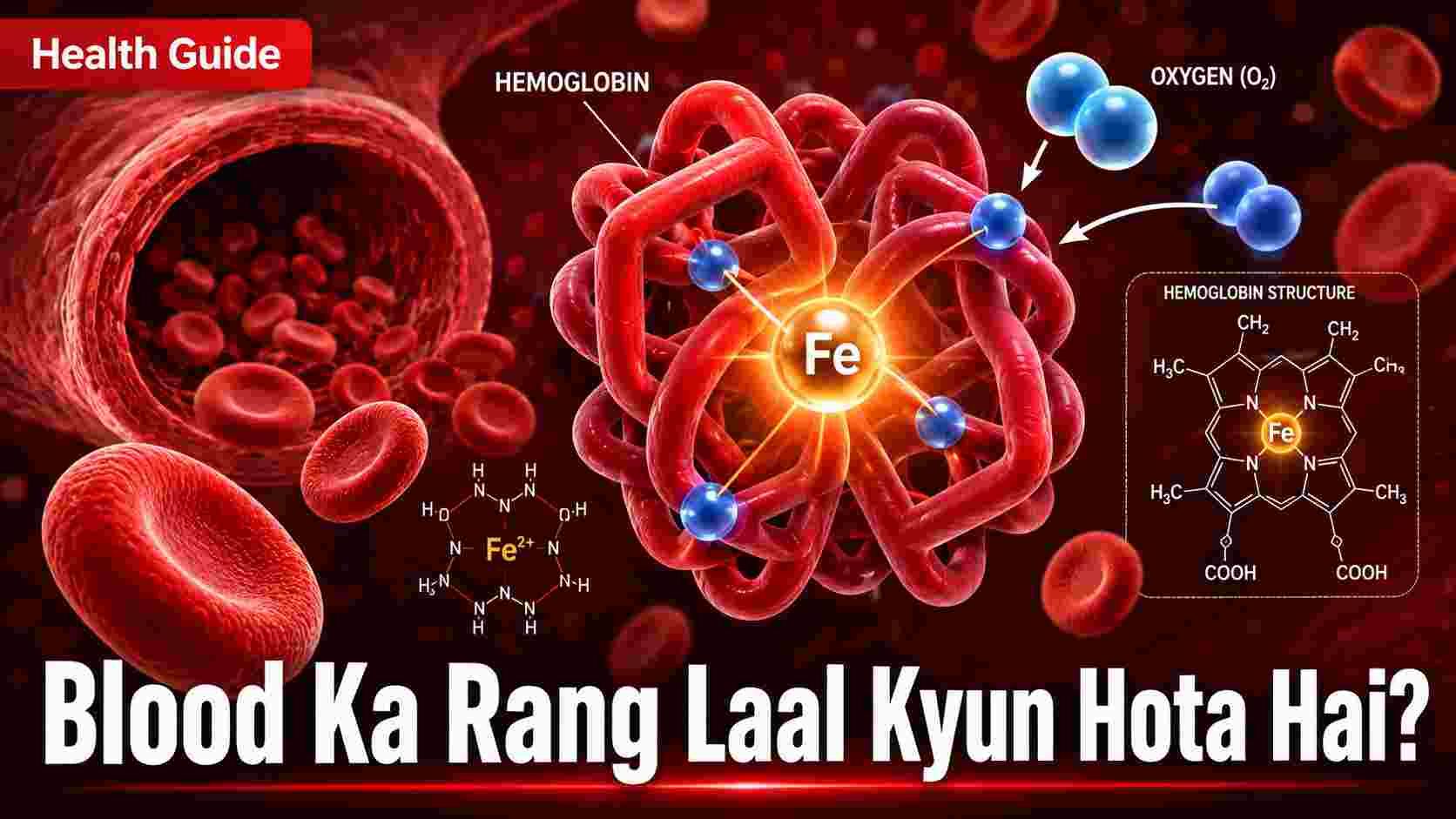 A detailed medical illustration showing red blood cells, a hemoglobin molecule with an iron (Fe) center, and oxygen molecules, with the text "Blood Ka Rang Laal Kyun Hota Hai?